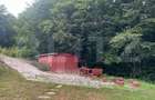 Cabana din bușteni - refugiu ideal în mijlocul naturii - 9