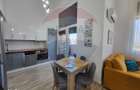 Inchiriere PENTHOUSE PREMIUM 2 camere ARED AFI - 1