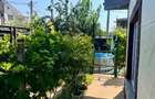 VILA P+M DE VANZARE IN VALU LUI TRAIAN