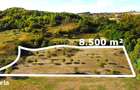 Super view | Teren 8.500 m2 Maramures | Viitorul tau colt de liniste - 9