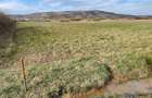 Vand 1,7325 hectare Teren Arabil Extravilan Orasu Nou-Vii, jud. Satu Mare, Acte la Zi, Proprietar - 4