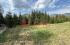 Teren intravilan 5.600mp, Colibi?a