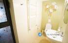 Inchiriere apartament 2 camere Cismigiu - 7