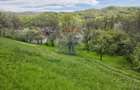 Teren intravilan 4.733 mp - Drajna de Jos, Prahova - 1