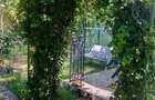 Apartament 4 camere curte comuna Iosefin - 3
