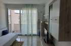 Apartament modern de inchiriat Sibiu ,doamna stanca - 8