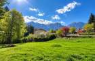 Teren intravilan Busteni 1.400 mp | Padure | Vedere Bucegi | 53 m deschidere - 5