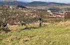 Proprietar, vand teren intravilan Dej, Dealul Sfantu Petru - 7