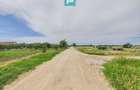 Teren extravilan 5000 mp, Arad
