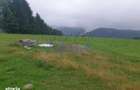 Teren de vanzare partial intravilan, Rasca, 10989mp - 3