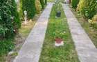 Vand casa in loc.livada - 5
