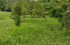 Teren de vanzare comuna Talea Prahova - 1