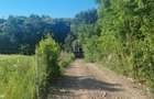 Teren Extravilan/Padure 90 000 Mp de Vanzare Zona Corunca/Acatari - 2