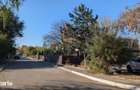 Teren 19.470 mp, investitie ideala, Green City -1 Decembrie, Ilfov