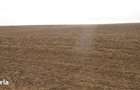 Teren extravilan Negrilesti, cota parte 2/18, ID: R2940348 - 1