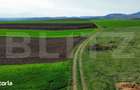 Teren extravilan de vanzare, 2.700 mp - zona Cristur - 1