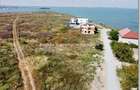 Teren in Palazu Mare zona malul inalt - 5