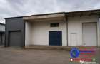 ID 6160 DEPOZIT / HALA / SPA?IU COMERCIAL P+E | DE VANZARE - 1