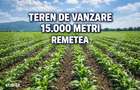 Teren de vanzare, 15.000 M, Remetea - 1