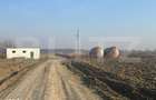 Ferma de nuci - teren agricol, zona Ivesti - 7