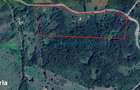 Teren de vanzare in Tomnatic, 6,45 h intravilan, Bihor,Gaminvest,V4508 - 1