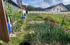 RECO, Oportunitate doua apartamente in Astileu, renovate complet, pano - 6