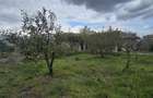 Vadu-Exclusivitate, casa 75mp, teren 1917 mp/31ml deschidere, centru - 2