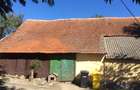 VIND CASA IN RECAS CENTRAL CU TEREN MARE , DIVERSE OPORTUNITĂȚI - 11