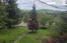 Cabana cu 5 camere de vanzare in Provita - 13