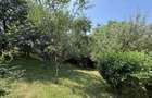 Casă parter+mansarda 80 mp+ teren intravilan 476 mp Sotrile Prahova ! - 35