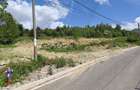 Vand teren 4.000 mp pe Valea Morii barajul I - 2