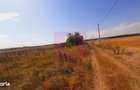 Teren pentru casa/case in Branesti pe strada Toporasi - 2