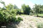Vand teren 999mp +constructie de renovat loc. Serbestii Vechi - 8