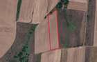 De vanzare teren agricol Ulileacu de Munte (Paleu)