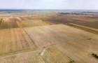 DASCALU - TEREN INTRAVILAN 7500 MP, INVESTITIE! - 15