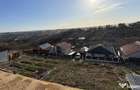 Teren construibil 350 mp, CopouViticultori | PUZ aprobat | Proprietar - 2