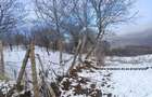 Teren de 2500 mp, în Dealu Cucului - 7