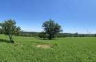 Proprietar, Vand teren intravilan 16600 mp, parcelabil, Comuna Cocu, Arges - 3