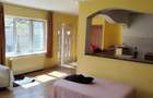 Casa 3 camere, curte , pivnita , pod , Blaj-Tudor Vladimirescu - 11