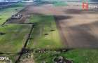 Teren intravilan 2 hectare in Padureni oportunitate investitie sau - 2