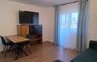 Inchiriere Apartament 2 camere - 14