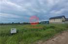 Teren Intravilan, Ovidiu, Spre Poiana,3 loturi de 302 mp fiecare - 6