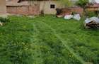 Vand casa in Dangaul Mare - 1