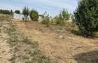 Teren 500 MP Clinceni, langa ferma de struti - 2