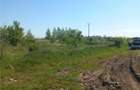 Loturi pentru constructie | Zona in dezvoltare | Sanpetru. Comision 0! - 1