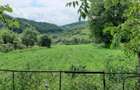 Casa de vanzare Sinpetru Alma?ului, Hida cu teren 6000 mp - 2