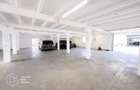 Hala 300mp, 3 camere, parter, pretabil destinatii multiple, zona Aeroport - 3