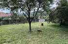 Teren intravilan Slanic Prahova 300mp - 8