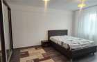 1 CAM BUCIUM LID NOU DECOMANDAT CU TERASA - 3