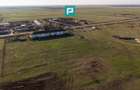 Hală industrială cu teren generos în Zărand, Arad
